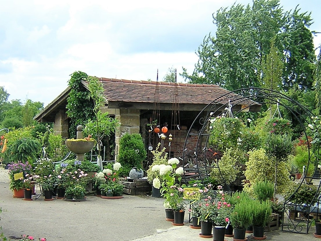 Vogg_Sommer_2008 4.jpg